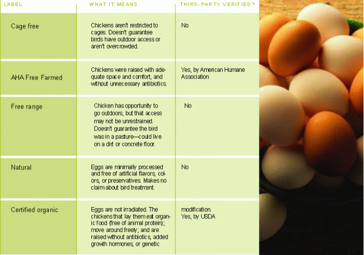 Dirty Dozen: Responsible Easter Eggs